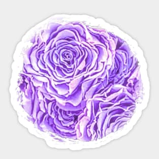 Light Purple Rose Sticker